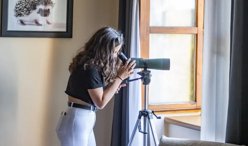 4 vszak Hegyihotel Mtrahza - Augusztus 20. (min. 2 j)