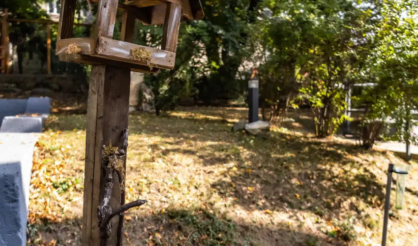 4 vszak Hegyihotel Mtrahza - Augusztus 20. (min. 2 j)