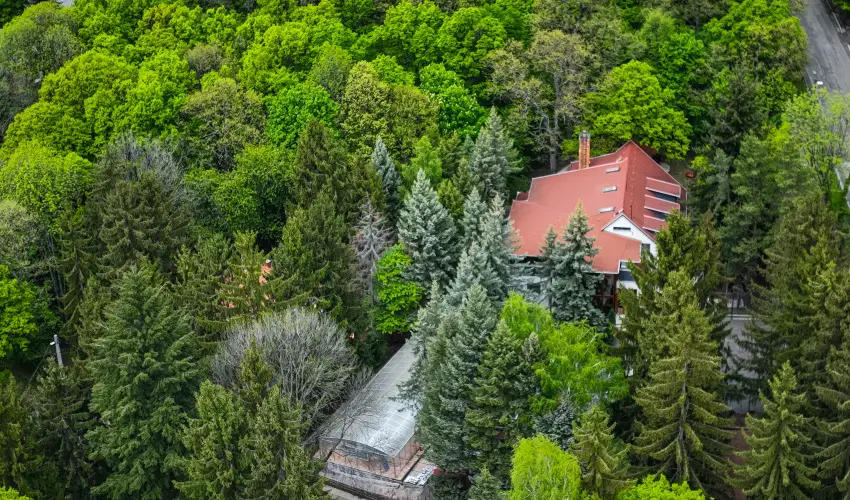 4 vszak Vlgyhotel Mtrafred - Augusztus 20. (min. 2 j)