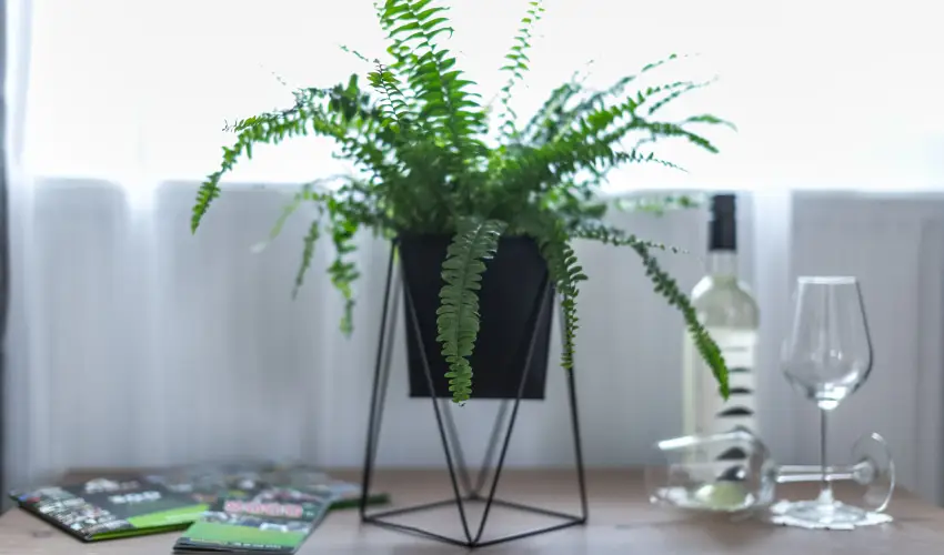 4 vszak Vlgyhotel Mtrafred - Augusztus 20. (min. 2 j)