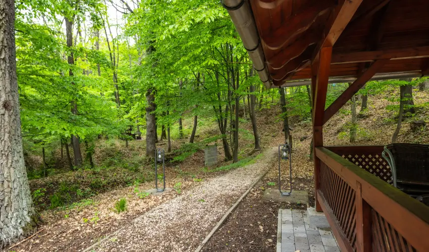 4 vszak Vlgyhotel Mtrafred - Augusztus 20. (min. 2 j)