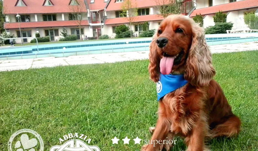 Abb�zia Country Club Nemesn�p - Augusztus 20.                                                                                                                                                                                                                                                  