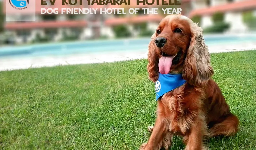 Abb�zia Country Club Nemesn�p - Augusztus 20.                                                                                                                                                                                                                                                  