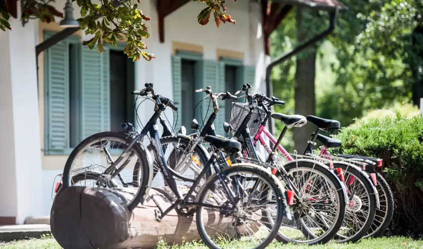 Abb�zia Country Club Nemesn�p - Augusztus 20.                                                                                                                                                                                                                                                  