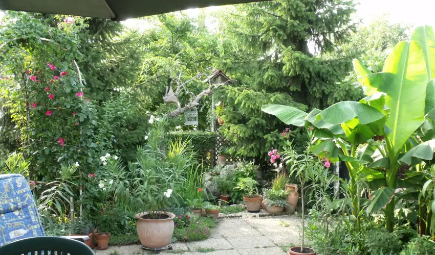 Agod Apartman Gyula - Augusztus 20. (min. 3 j)