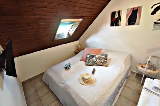 Alea Apartmanok Hark�ny - Augusztus 20.