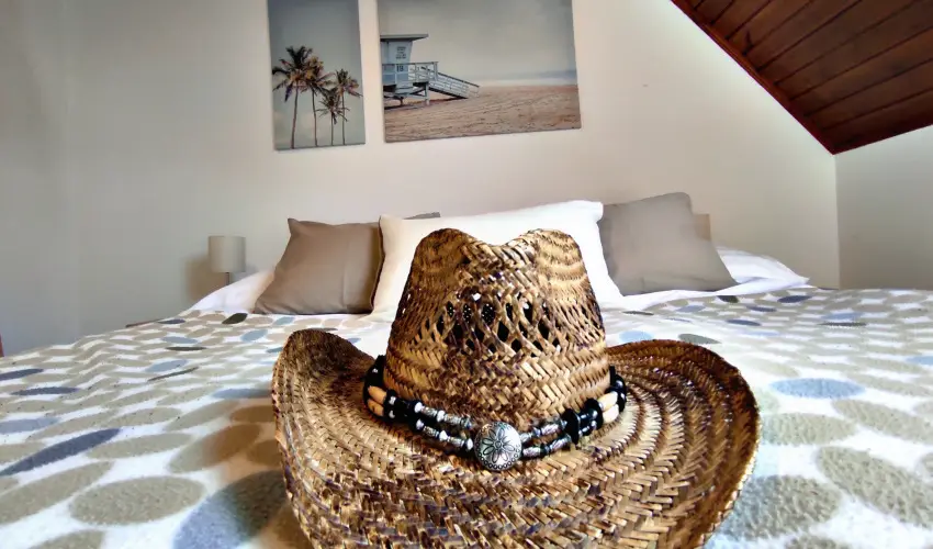 Alea Apartmanok Hark�ny Hark�ny - Augusztus 20.