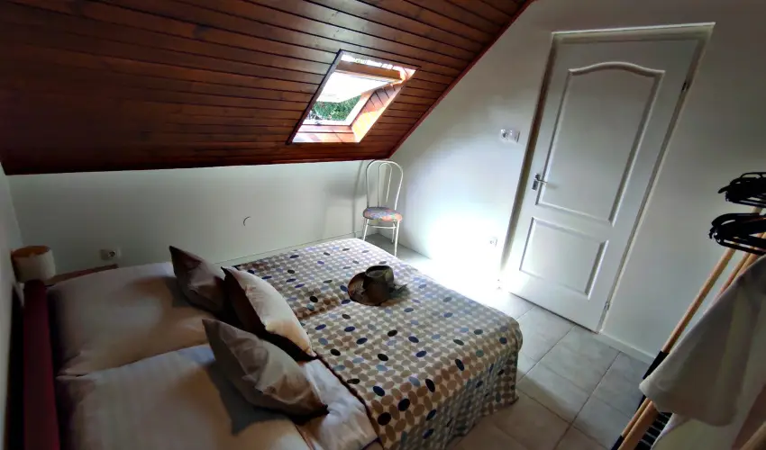 Alea Apartmanok Hark�ny Hark�ny - Augusztus 20.