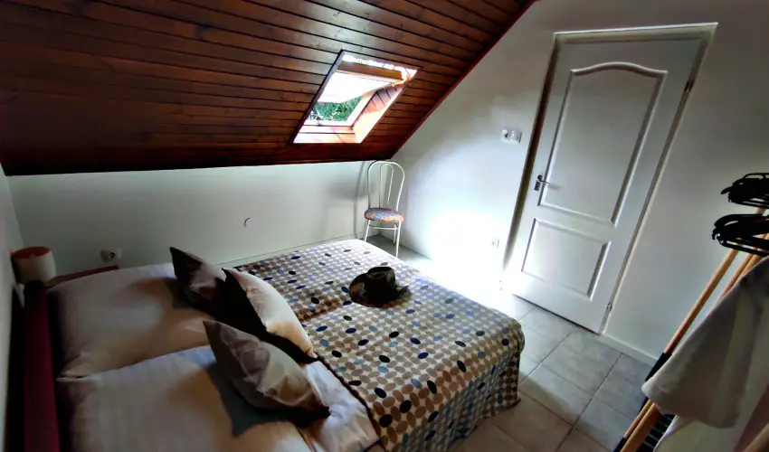 Alea Apartmanok Hark�ny Hark�ny - Augusztus 20.