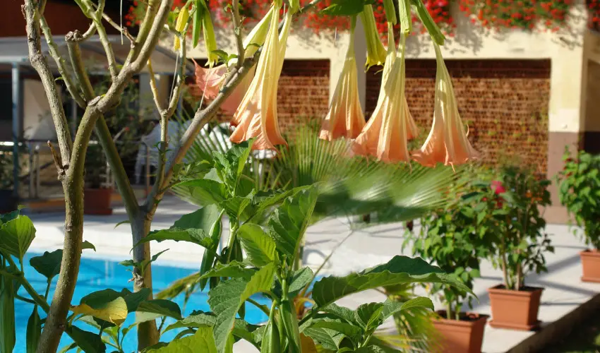 Alfa Hotel Miskolctapolca - Agusztus 20. (min. 2 �j)