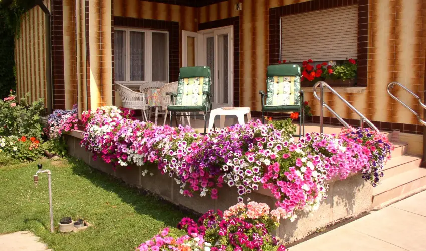 Am�lia Apartman Gyula - Augusztus 20. (min. 2 �j)