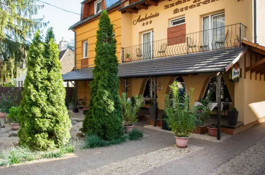 Ambrzia Szllshely s tterem - Augusztus 20. (min. 3 j)