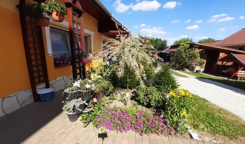 Andrea Vend�gh�z Kehidakust�ny - Augusztus 20. (min. 3 �j)