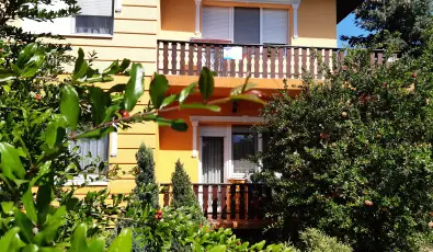 Andrea Vend�gh�z Kehidakust�ny