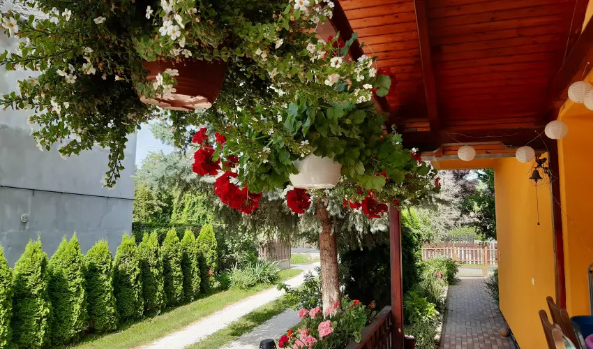 Andrea Vend�gh�z Kehidakust�ny - Augusztus 20. (min. 3 �j)