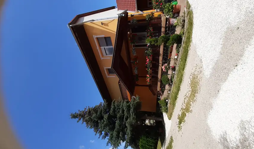 Andrea Vend�gh�z Kehidakust�ny - Augusztus 20. (min. 3 �j)