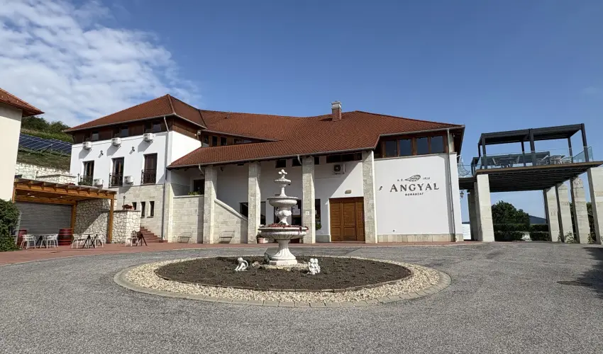 Angyal Bor�szat R�tka - Augusztus 20. (min. 2 �j)