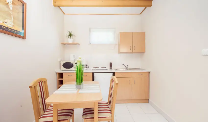 Apartman Szanyi B�k, B�kf�rd� - Augusztus 20. (min. 3 �j)