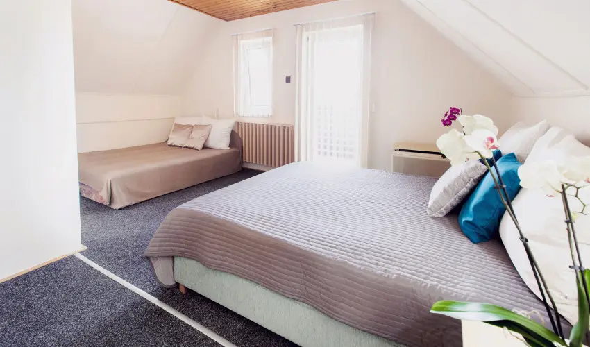 Apartman Szanyi B�k, B�kf�rd� - Augusztus 20. (min. 3 �j)