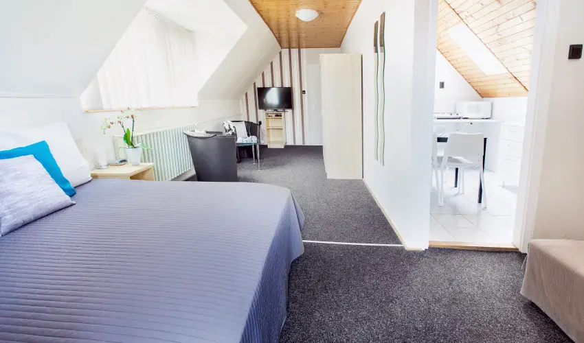 Apartman Szanyi B�k, B�kf�rd� - Augusztus 20. (min. 3 �j)