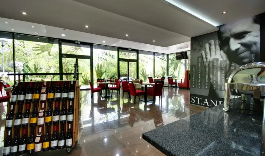 Aqua Hotel Gyula - Augusztus 20.