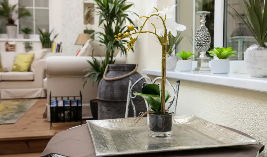 Aquasol Resort Mosonmagyarvr - Augusztus 20.