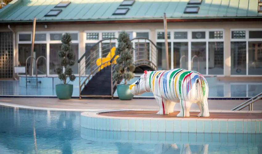 Aquasol Resort Mosonmagyarvr - Augusztus 20.