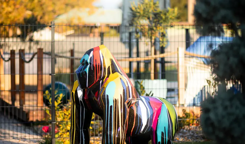 Aquasol Resort Mosonmagyarvr - Augusztus 20.