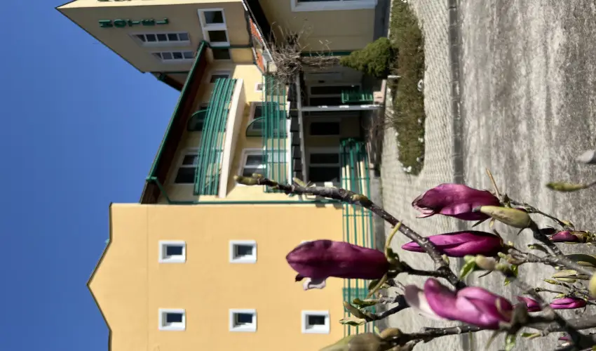 Aquatherm Hotel Zalakaros - Augusztus 20. - speci�lis el�refizet�ssel (min. 2 �j)