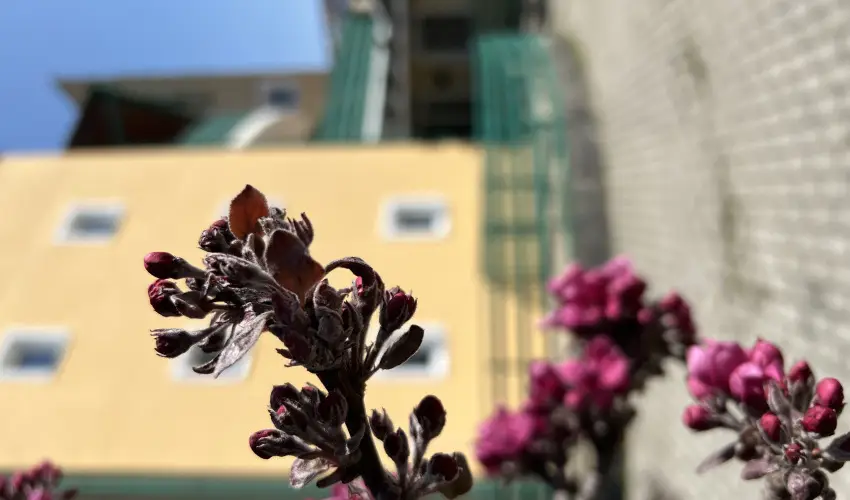 Aquatherm Hotel Zalakaros - Augusztus 20. - speci�lis el�refizet�ssel (min. 2 �j)