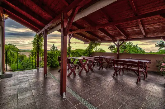 Aranypatk� Panzi� - Augusztus 20.