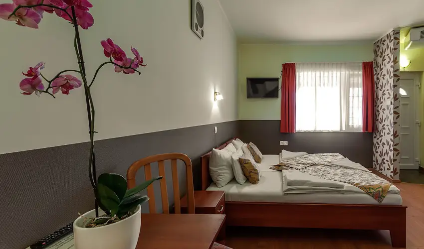 Aranypatk� Panzi� Gy�r�jbar�t - Augusztus 20.