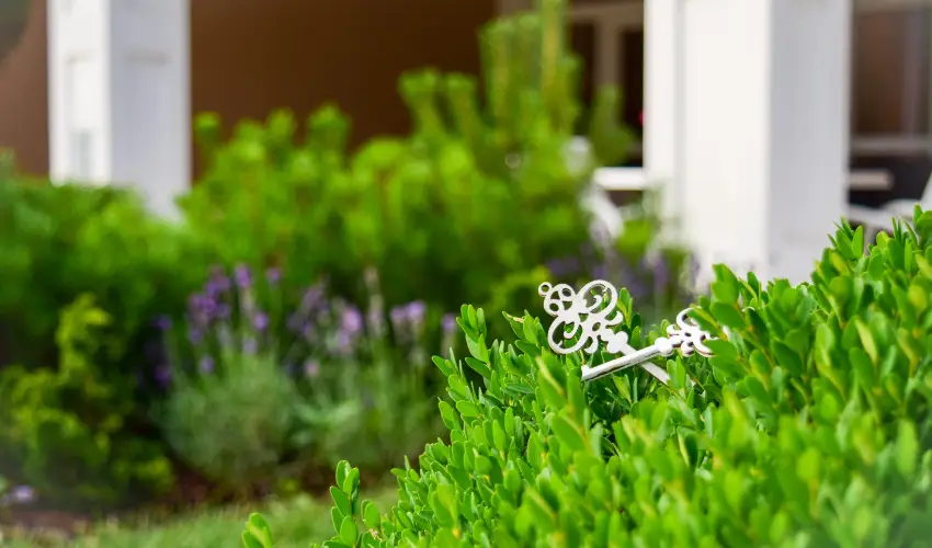 Arcanum Hotel B�k�scsaba - Augusztus 20.