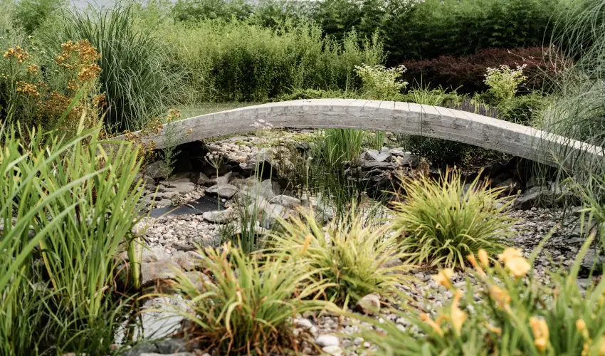 Arcanum Hotel B�k�scsaba - Augusztus 20.