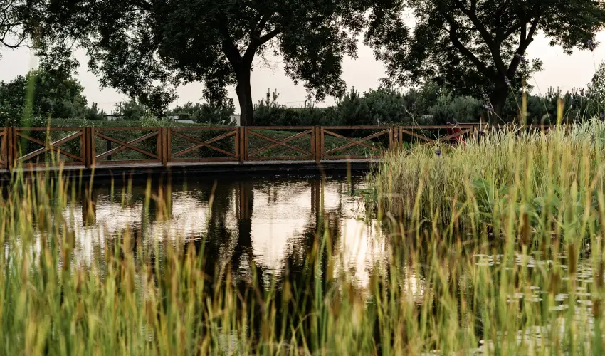 Arcanum Hotel B�k�scsaba - Augusztus 20.