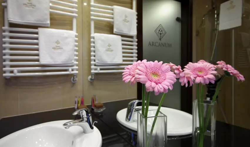 Arcanum Hotel B�k�scsaba - Augusztus 20.
