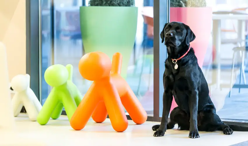 Art Hotel Szeged Szeged - Augusztus 20.