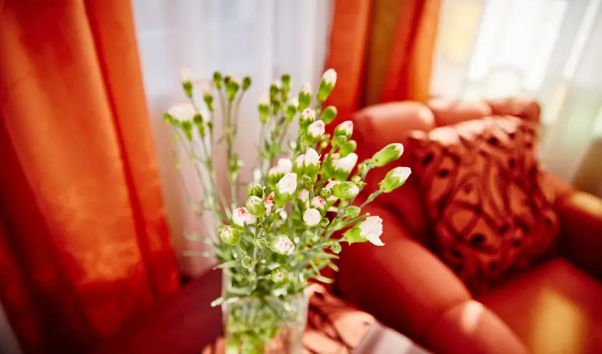 Astoria Hotel �s �tterem Balatonf�red - Augusztus 20. (min. 2 �j)