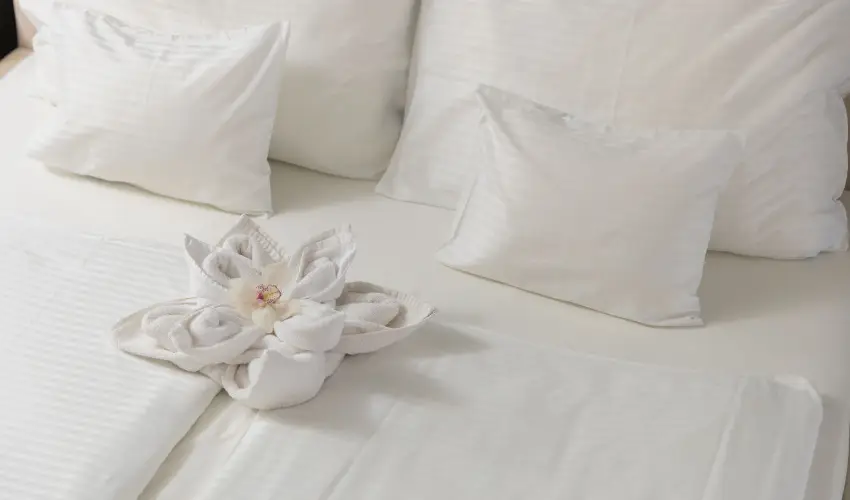 Hotel Atlantis Wellness & Conference Hajdszoboszl - Augusztus 20. - teljes elrefizetssel (min. 2 j)