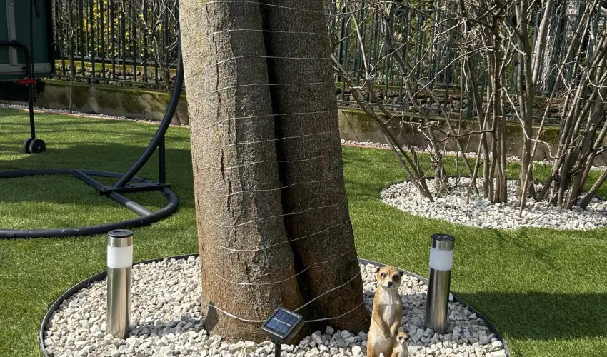 Aventurin House R�vf�l�p - Augusztus 20. (min. 2 �j)