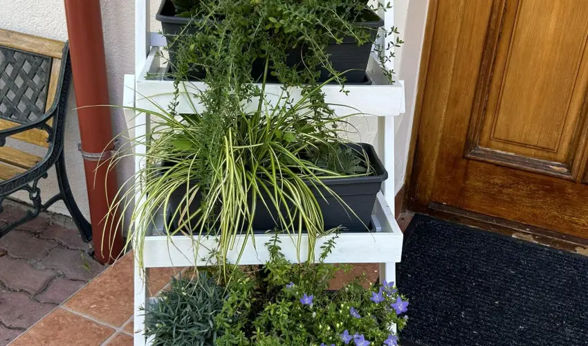 Aventurin House R�vf�l�p - Augusztus 20. (min. 2 �j)