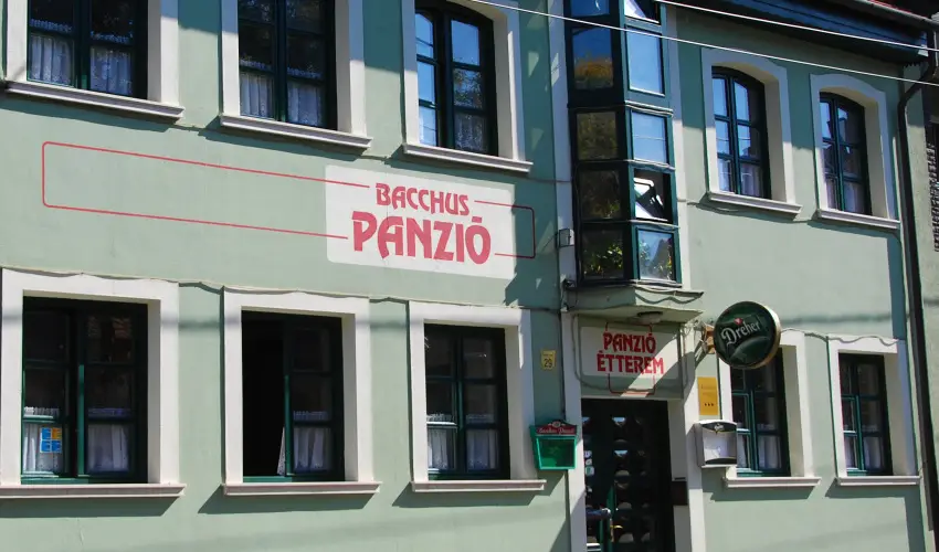 Bacchus Panzi Eger - Augusztus 20.