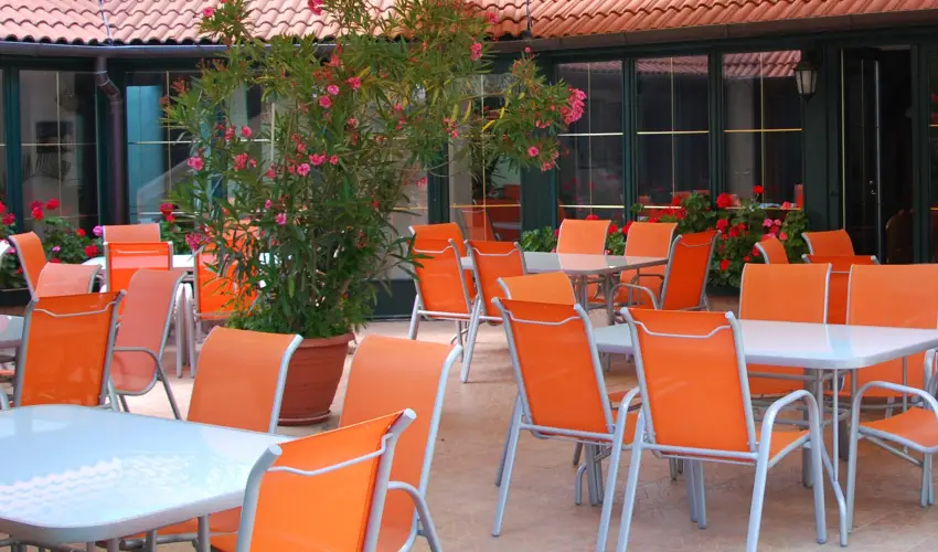 Bacchus Panzi Eger - Augusztus 20.