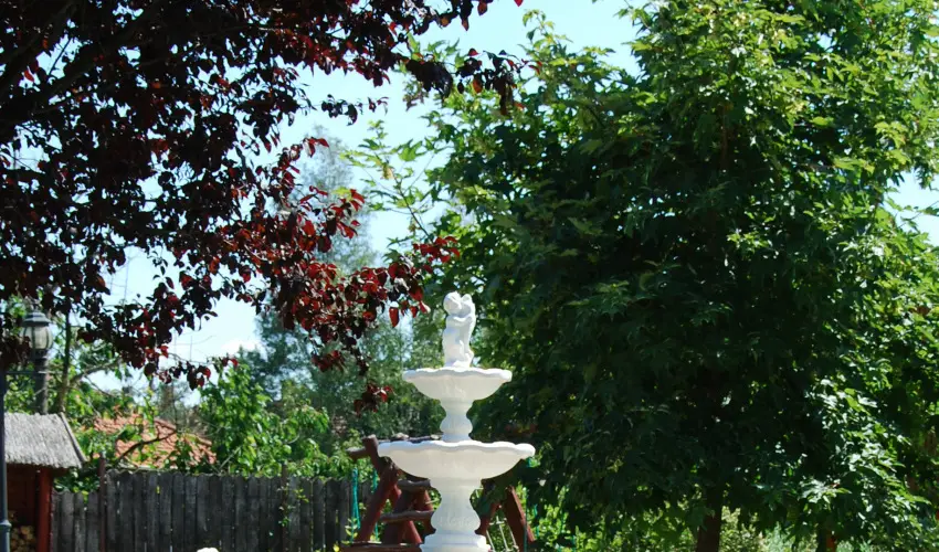 Bacchus Panzi Eger - Augusztus 20.