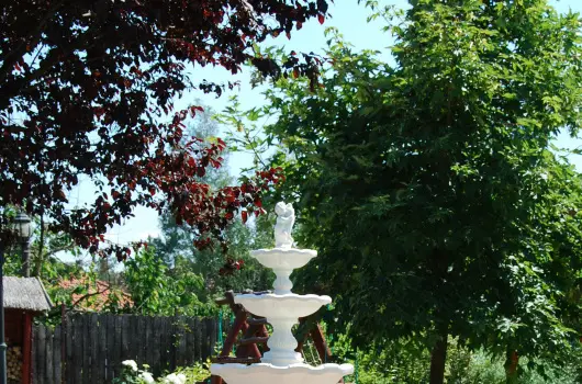 Bacchus Panzi - Augusztus 20.