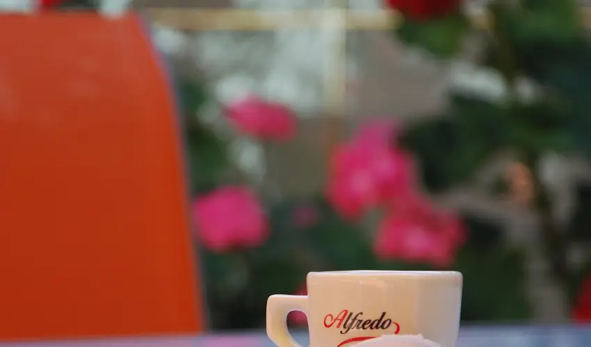 Bacchus Panzi Eger - Augusztus 20.