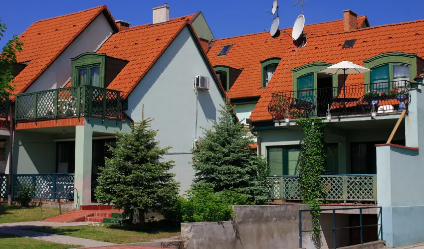 Bacchus Panzi Eger - Augusztus 20.