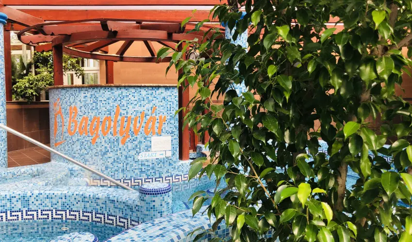 Bagolyv�r In�rcs In�rcs - Augusztus 20.