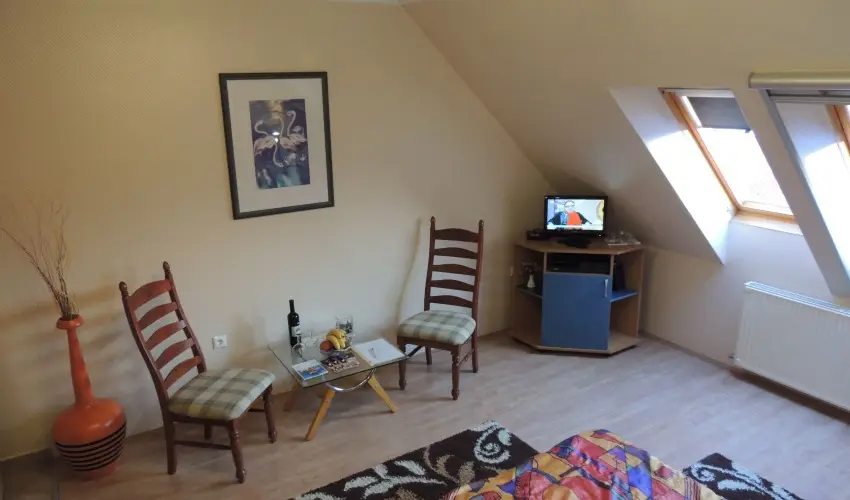 Bajor Panzi Aparthotel Bk, Bkfrd - Augusztus 20.