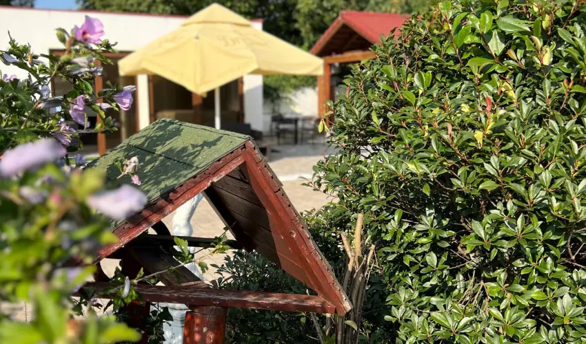 Bajor Panzi Aparthotel Bk, Bkfrd - Augusztus 20.